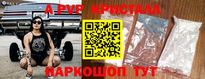 шишки Кандалакша