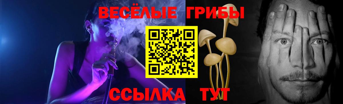 Псилоцибиновые грибы Magic Shrooms  закладки  Котовск  Вход с VPN 